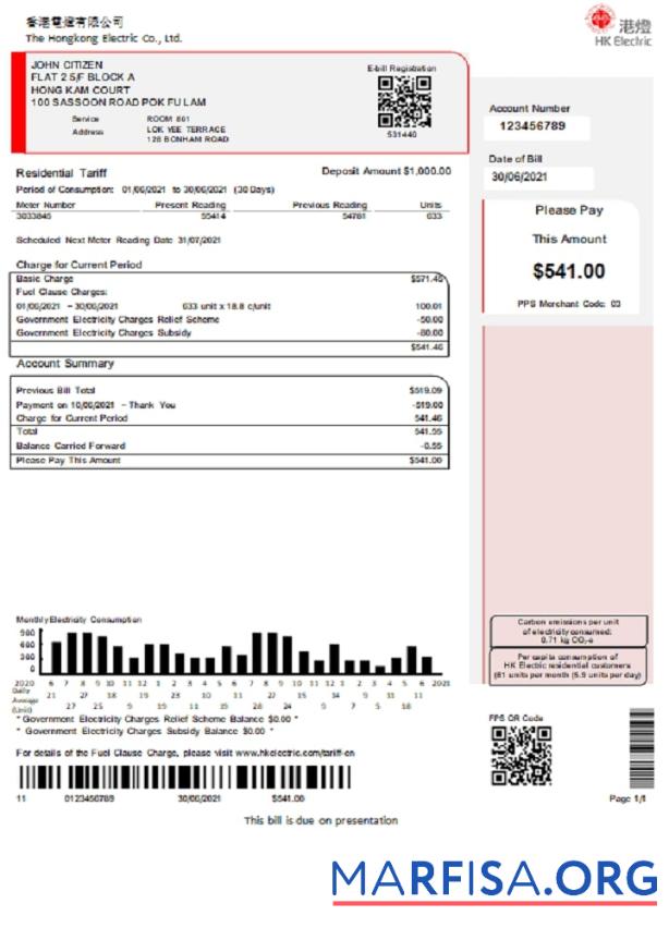 Downloadable Hong Kong Hongkong Electric Company utility bill sample